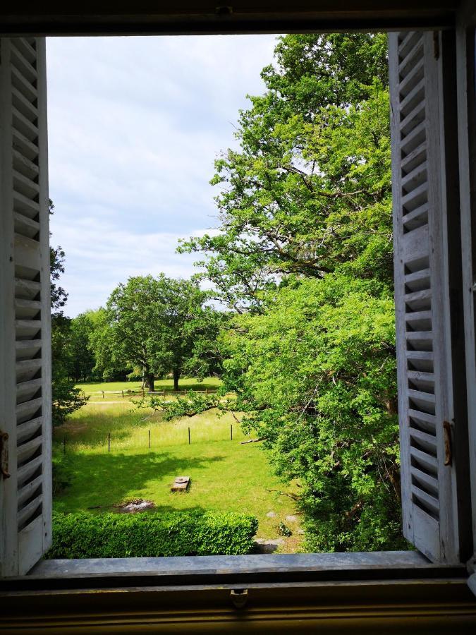 Chateau De Beauchene Chambres D'Hotes Allogny Exterior photo